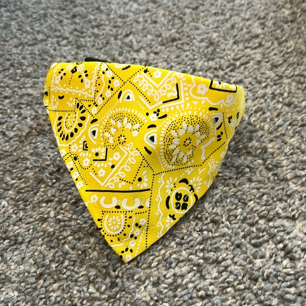 Dog/cat collar with bandana